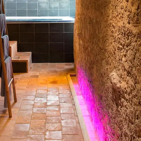 Demeures Et Chateaux - Le Portail En Marais Poitevin Penzion