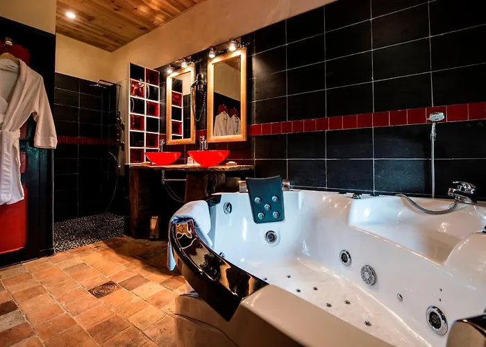 Le Portail En Marais Poitevin - Logis D'exception - Jacuzzi Privatif Maison d'hôtes